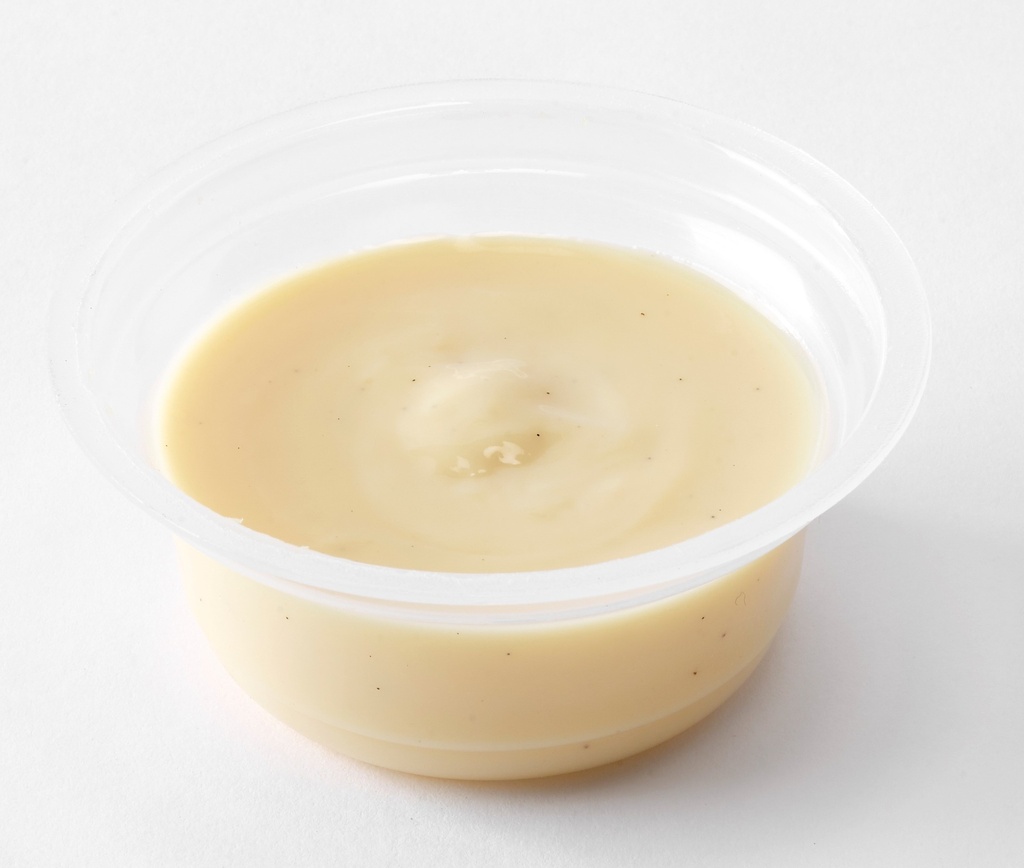 NS crème vanille 100g x 24 frais