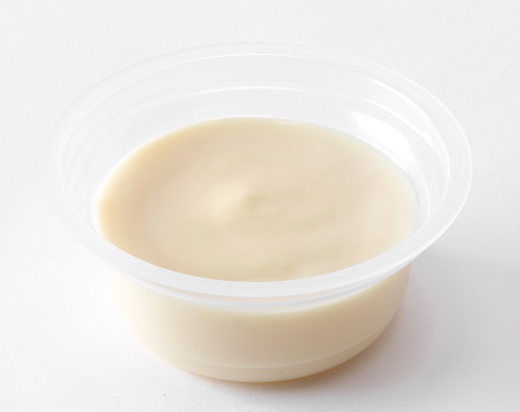 NS cream flavor rum raisin 100g x 24