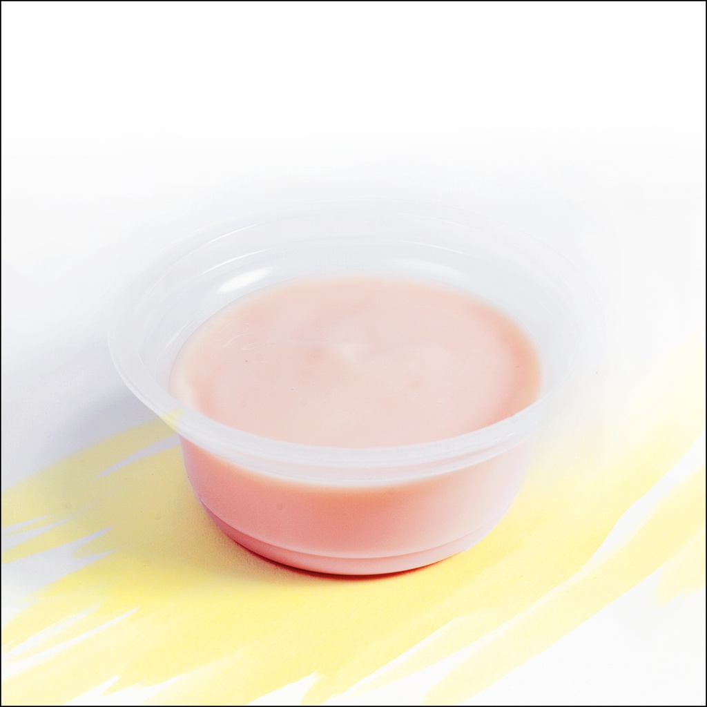 NS crème smaak aardbei 100g x 24 koel