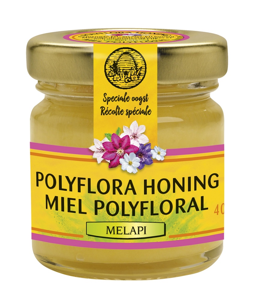 Melapi Honigpolyflora 40 g x 24