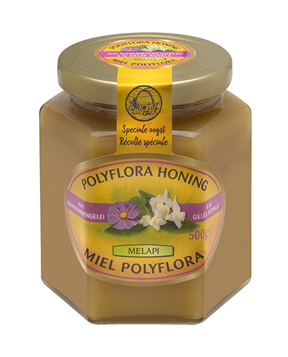 Melapi honing polyflora + koninginnebrij z.500g