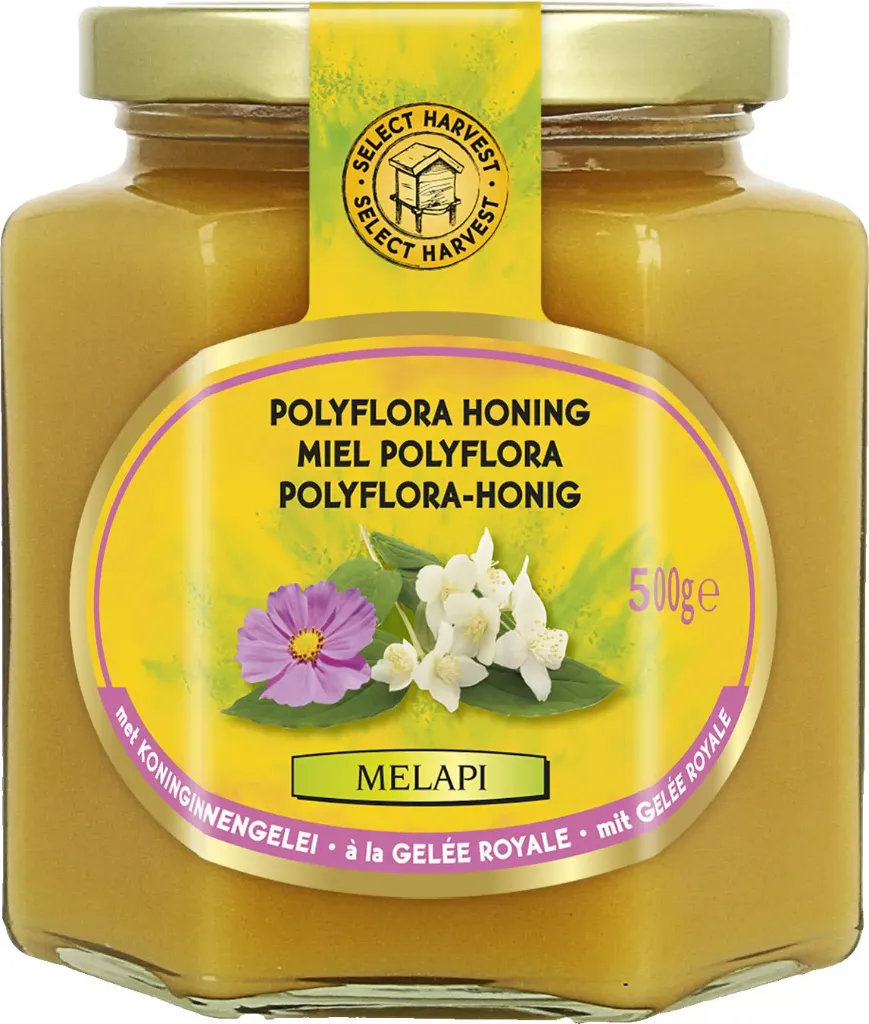 [5534] Melapi miel polyflora + gelée royale t.500g