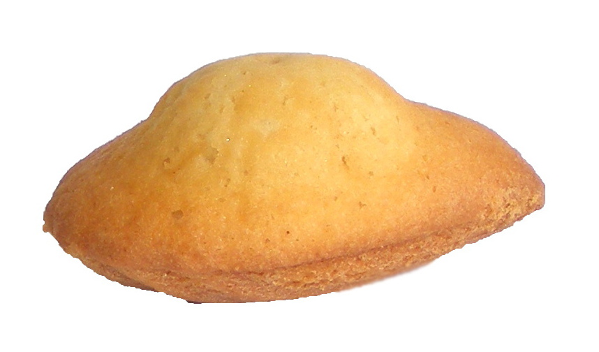 Prodia madeleine cake 25g-40pcs