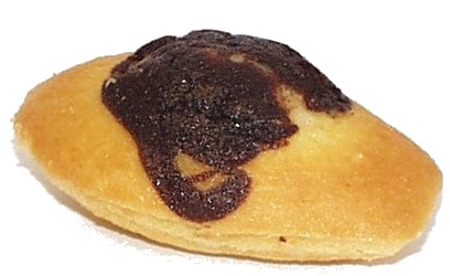 Prodia madeleine marbrée 25g x 40 pauvre en sucre