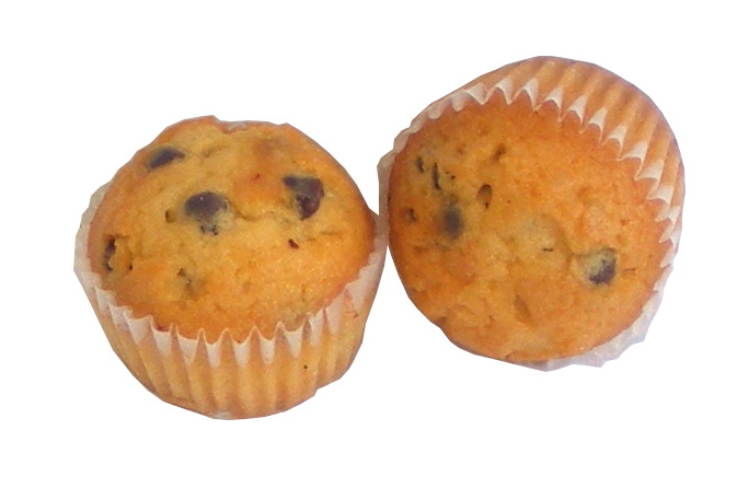 Prodia mini-madeleines choco stuk (12,5gx2) x 70 suikervrij