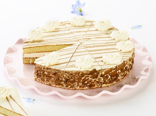 Prodia tarte biscuit praliné 60g x 10 pauvre en sucre surgelé