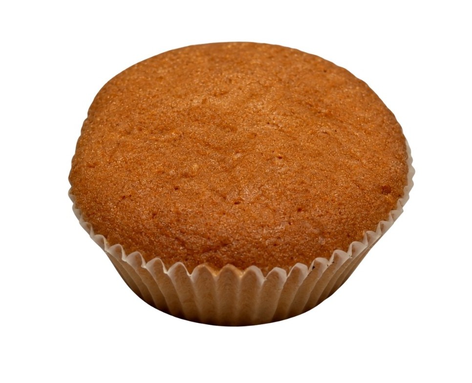 Prodia cake speculaassmaak 40g x 24 suikervrij 