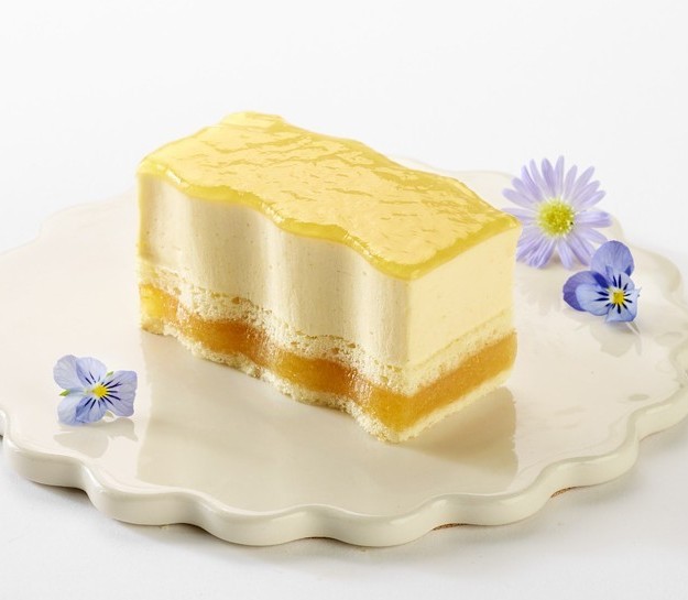 Prodia gâteau abricot Lact° 65g x 15 surgelé