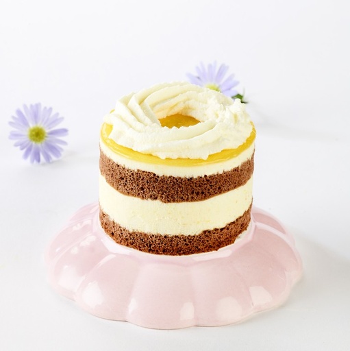 [2833] Gustan gâteau mangue-fruit de la passion 55g x 12